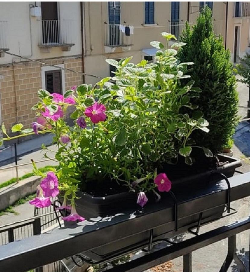 B&B Residence Armonia Sulmona Exterior photo